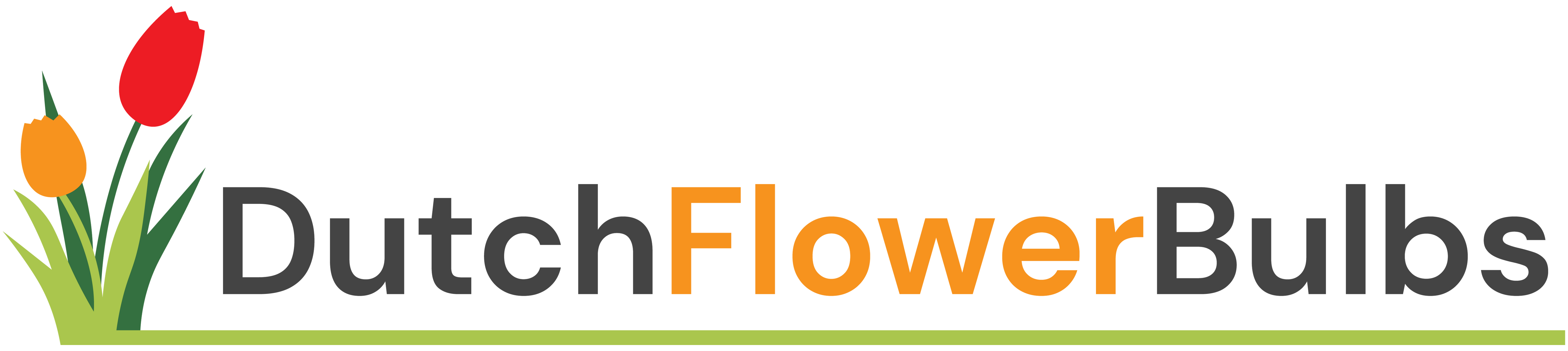 dutchflowerbulbs.com