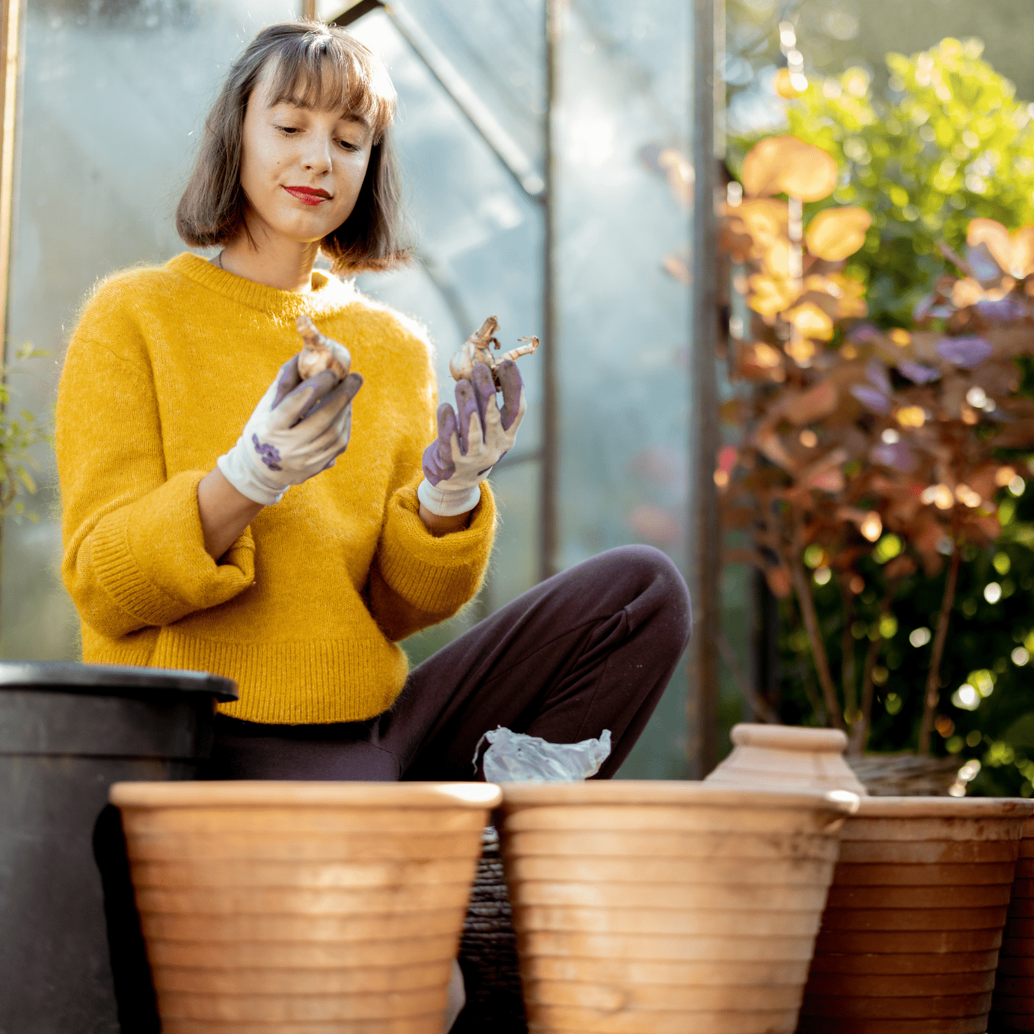 How to prepare your Garden for Fall bulb planting - dutchflowerbulbs.com