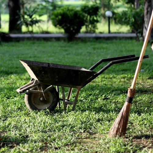 How to clean your garden and greenhouse? - dutchflowerbulbs.com