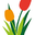 logo of DutchFlowerBulbs | Buy Premium Quality Dutch Flower Bulbs online!