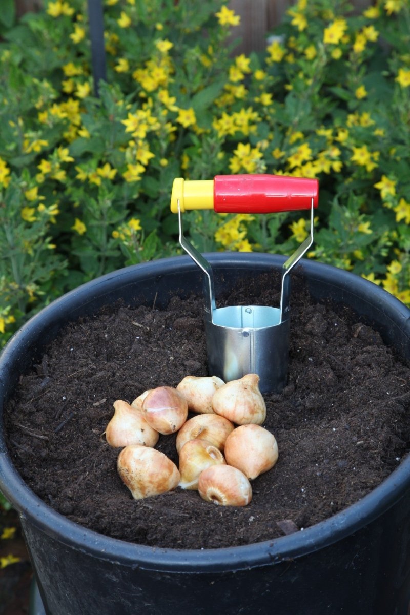 - Bulb planter